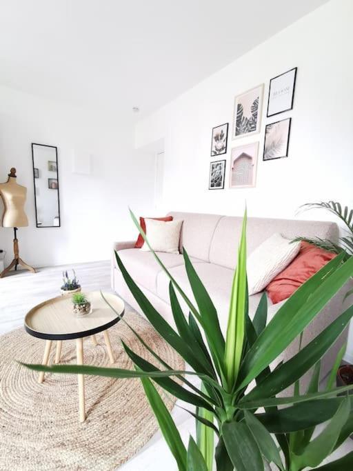 L'Authentique *Studio *Parking Prive* *Wifi*Calme Lourdes Extérieur photo